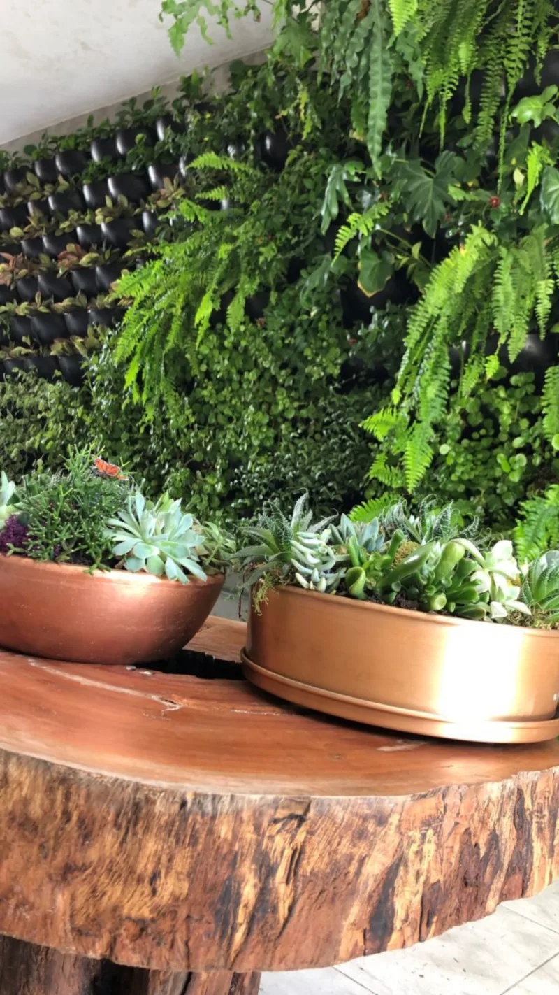 Jardins verticais são uma opção para trazer o design biofílico para dentro de casa. Na imagem, projeto da Ecotelhado. Foto: Divulgação.