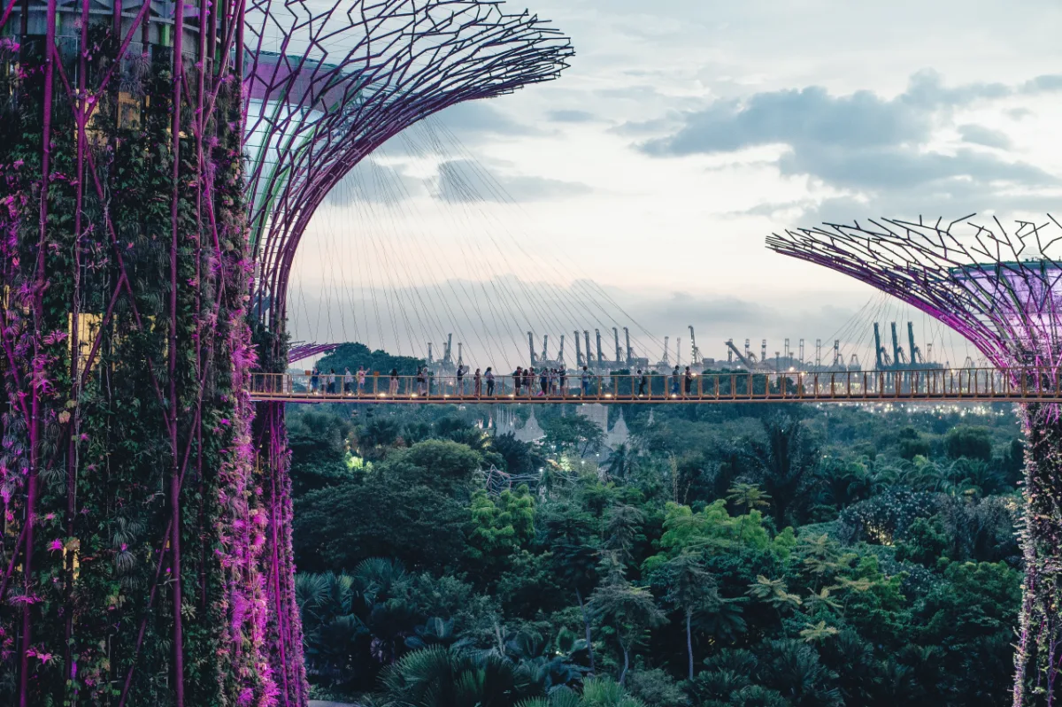 A famosa Supertree Grove, em Singapura.