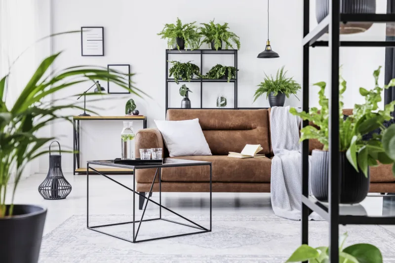 Suportes e prateleiras também acomodam as plantas e otimizam o espaço. Foto: Bigstock
