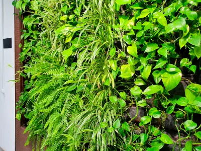 Urban jungle nas paredes: três passos simples para fazer um jardim vertical em casa