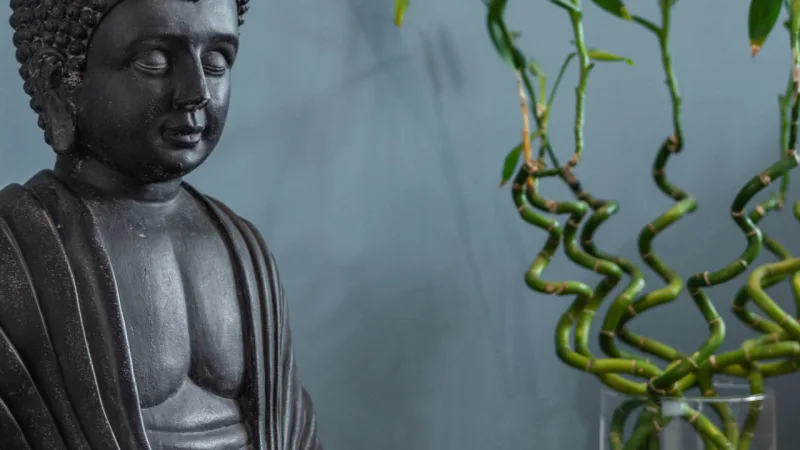 Cantinho de meditação com plantas e uma escultura de Buda.