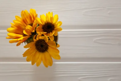 Tendências: conheça a planta e a flor do ano de 2021