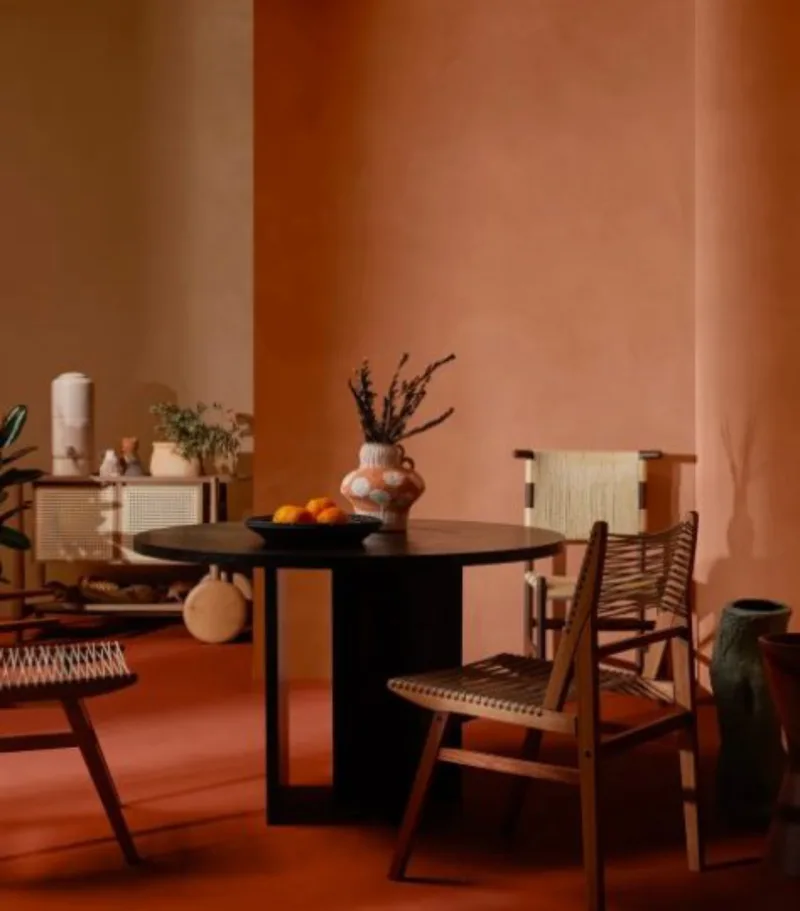 Paleta Terra