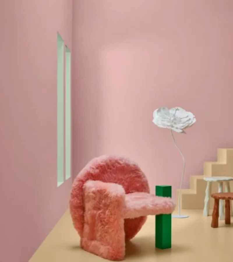 Paleta Cura.