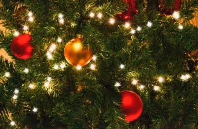 Sem tempo para decorar a casa? Árvores de Natal são entregues prontas em diversos tamanhos e estilos