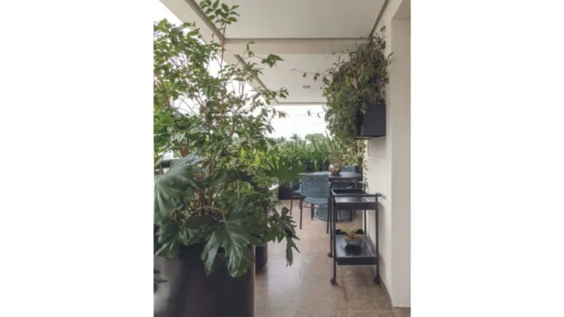 Muito verde aproveitando área de chão e espaço vertical em projeto da paisagista Luciana Bacheschi, com arquitetura da ALN Arquitetos.