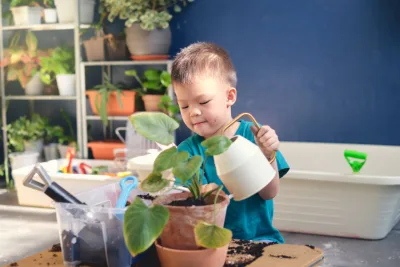 Os primeiros passos para cultivar plantas em casa