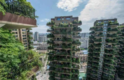 Complexo de edifícios é “invadido” por plantas na China; entenda o motivo e saiba como evitar