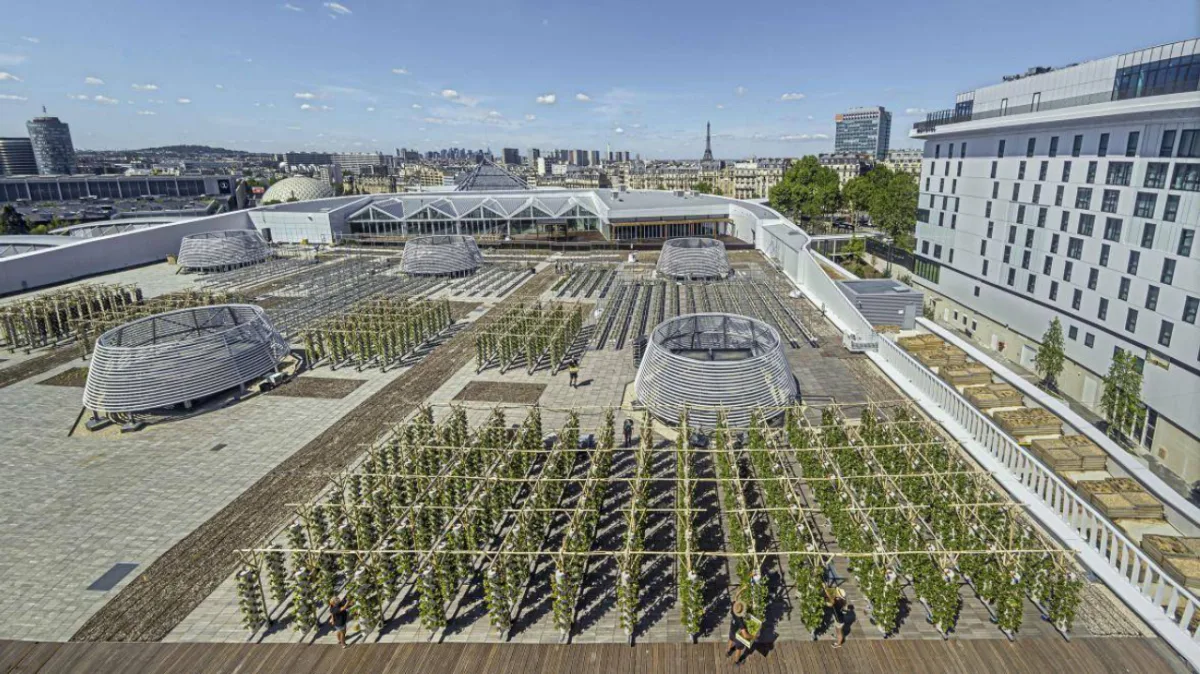Fazenda urbana em Paris tem  14 mil metros quadrados e produzira cerca de mil frutas e vegetais todos os dias.