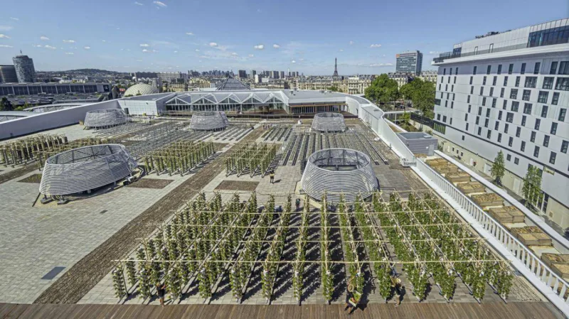 Imensa horta urbana sobre telhado é inaugurada em Paris