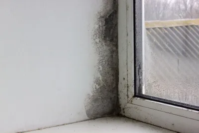 Dicas para proteger sua casa contra a umidade no inverno