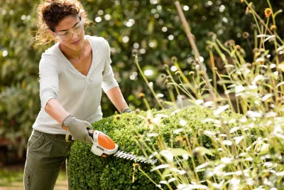 Curso de jardinagem online e gratuito tem participação de especialistas e influenciadores