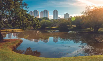 Paisagismo e cidade: infraestruturas verdes – Parte 2
