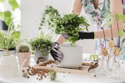 Para flores e plantas novas sem sair de casa, floriculturas e garden centers apostam nas entregas