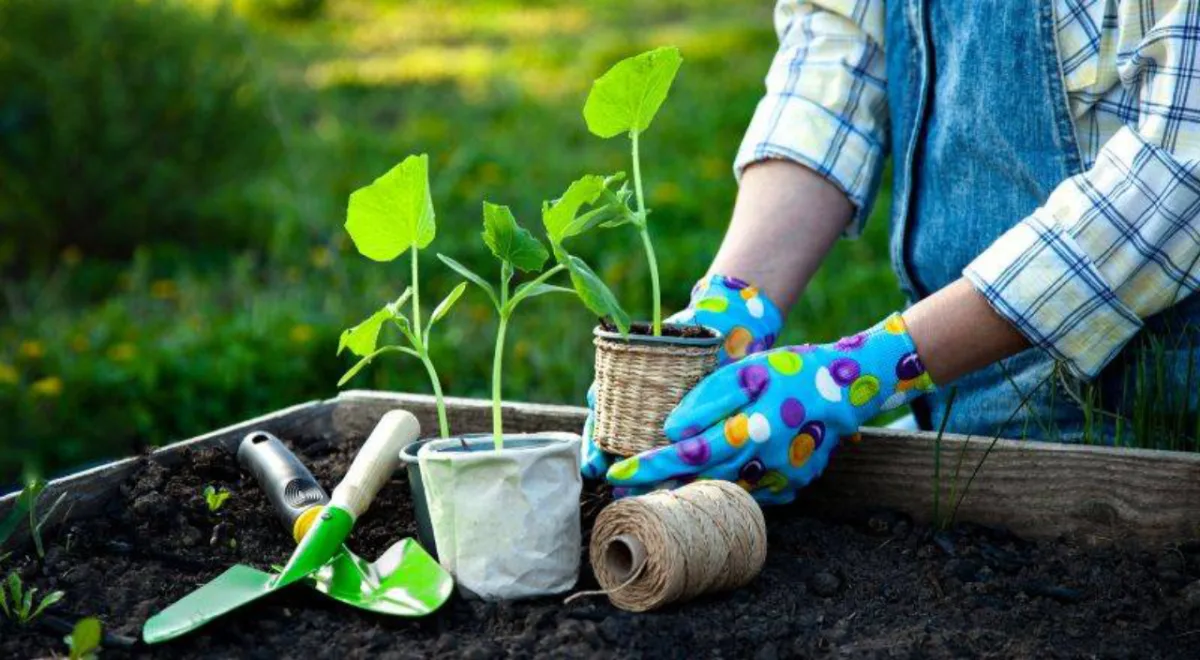 Foto: Bigstock