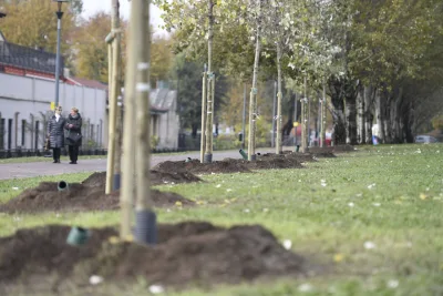 Milão quer plantar 3 milhões de árvores até 2030 para frear aquecimento global
