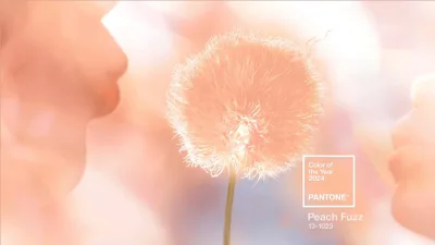 Cor do Ano 2024 Pantone