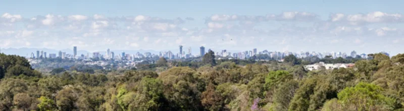 A vista do ponto mais alto da capital, a rua Doutor Eugênio Bertolli, em Santa Felicidade. O verde em meio aos prédios ainda impressiona (Fotos: Fernando Zequinão/Gazeta do Povo)