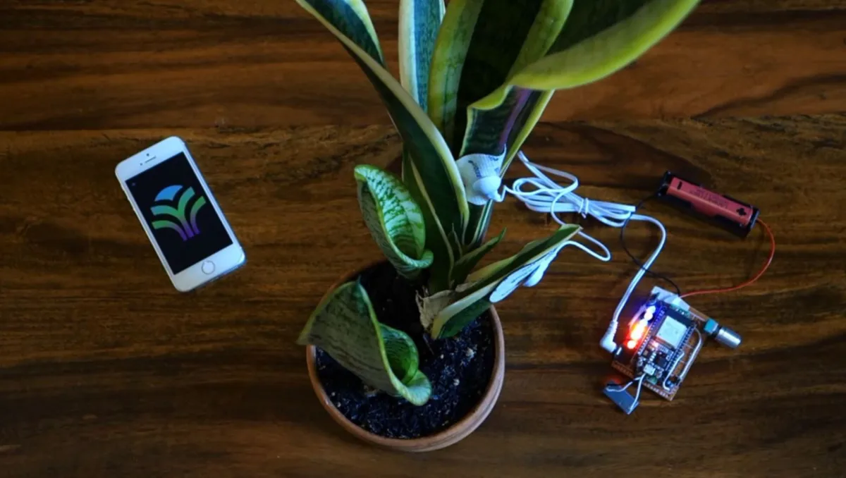 PlantWave é um projeto em financiamento coletivo e promete transformar em música as variações elétricas das plantas. Foto: Reprodução.  