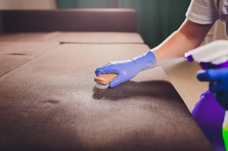 Cropped image. Cleaning concept. Male hand in blue protective gloves cleaning sofa couch in the room.