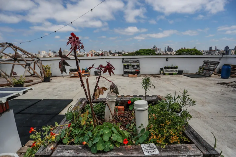 Terraço Verde no Edifício Itupava, em Curitiba. Foto: Jonathan Campos / Gazeta do Povo.