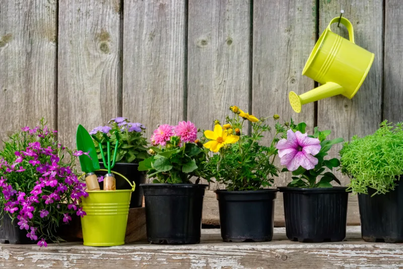 Foto: Bigstock