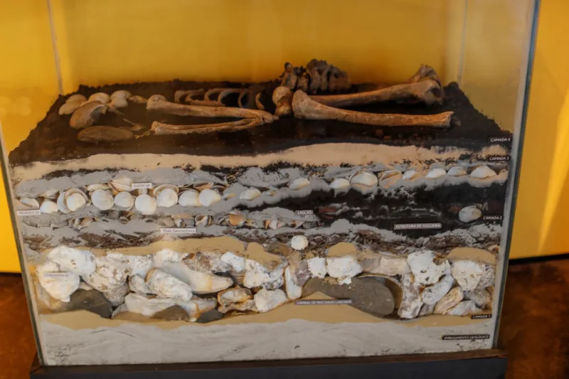 Departamento de Arqueologia do Museu Paranaense, responsável pelas pesquisas arqueológicas no estado e por um acervo de milhares de peças, como cerâmicas e ossos humanos