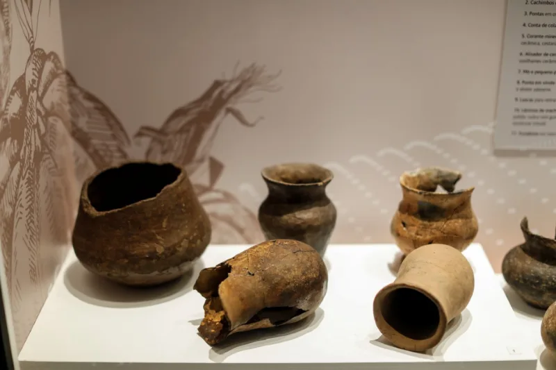 Departamento de Arqueologia do Museu Paranaense, responsável pelas pesquisas arqueológicas no estado e por um acervo de milhares de peças, como cerâmicas e ossos humanos