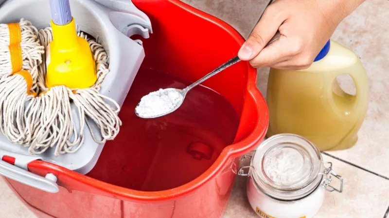 Foto: Bigstock