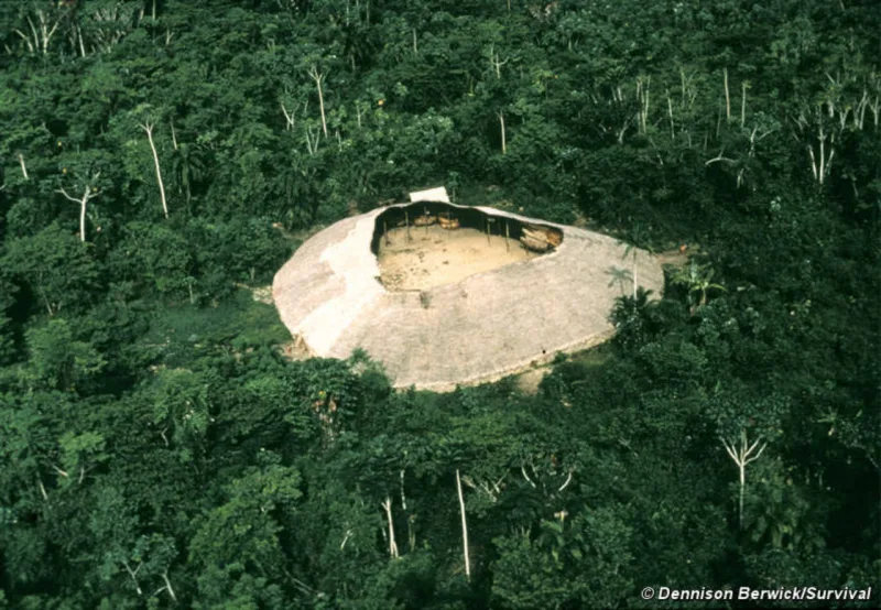 Registro aéreo de uma Shabono, a aldeia-casa dos Yanomami. Foto: Survivalbrasil.org/Reprodução