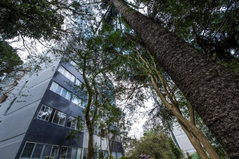 Foto: Letícia Akemi / Gazeta do Povo
