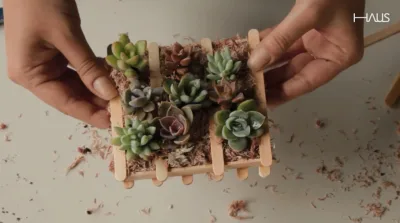 Confira o nosso passo a passo para montar seu próprio mini pallet! Foto: HAUS/Gazeta do Povo