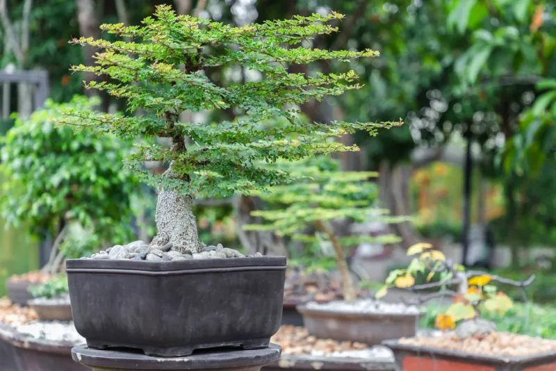 Foto: Bigstock