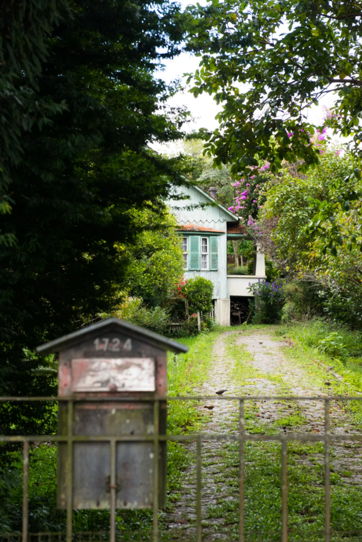 Uma casa atrás da moita representa centenas de residências em madeira que foram deixando a paisagem de Curitiba. Foto: Washington Takeuchi.  