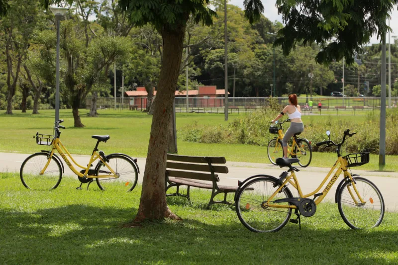 Parque Barigui, em Curitiba. Foto: Hamilton Bruschz/Tribuna do Paraná