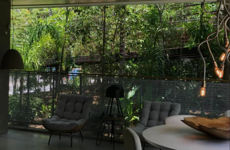 Espécies nativas da Mata Atlântica que se adaptam a jardins são usados por Ricardo Cardim. Foto: Cardim Arquitetura Paisagística / Reprodução