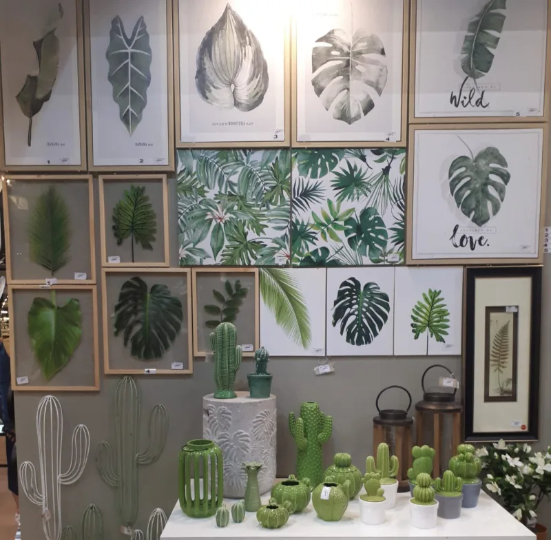 Variedade de plantinhas na BTC Decor.