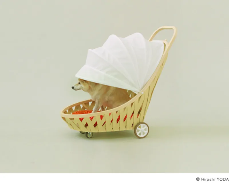 O projeto do arquiteto Toyo Ito pensou em um cachorrinho que gosta de passear. "Se chove o dia todo, ou o asfalto está quente, se o cão envelheceu e as pernas e os lombos estão doloridos, os cães querem sair para passear com seus donos todos os dias", explicou.