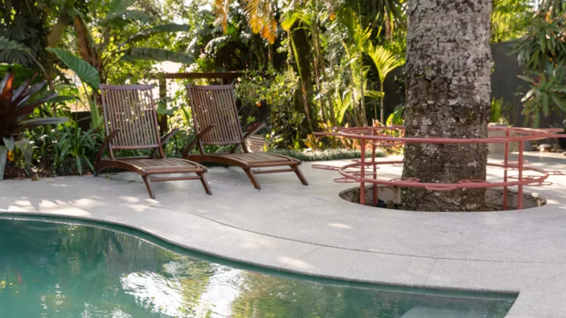 Destaque da área externa da casa, a piscina é circundada por uma ampla vegetação.
