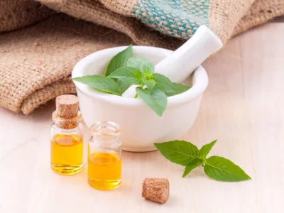 8 ervas e plantas para energizar diferentes ambientes da casa