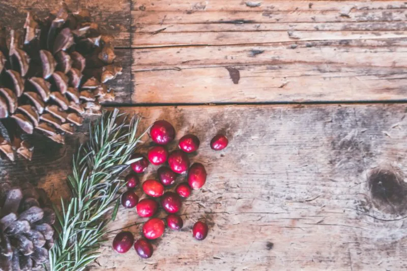 Galhos, frutas e elementos rústicos: use e abuse! Foto: Pexels.com