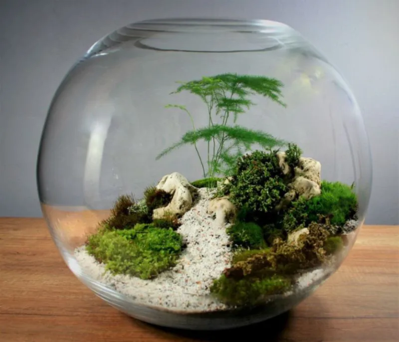 Foto: Reprodução / Oficina de Terrários Sesi Cultura Paraná
