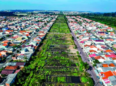 Cidade e alimentação