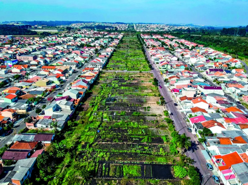 Cidade e alimentação