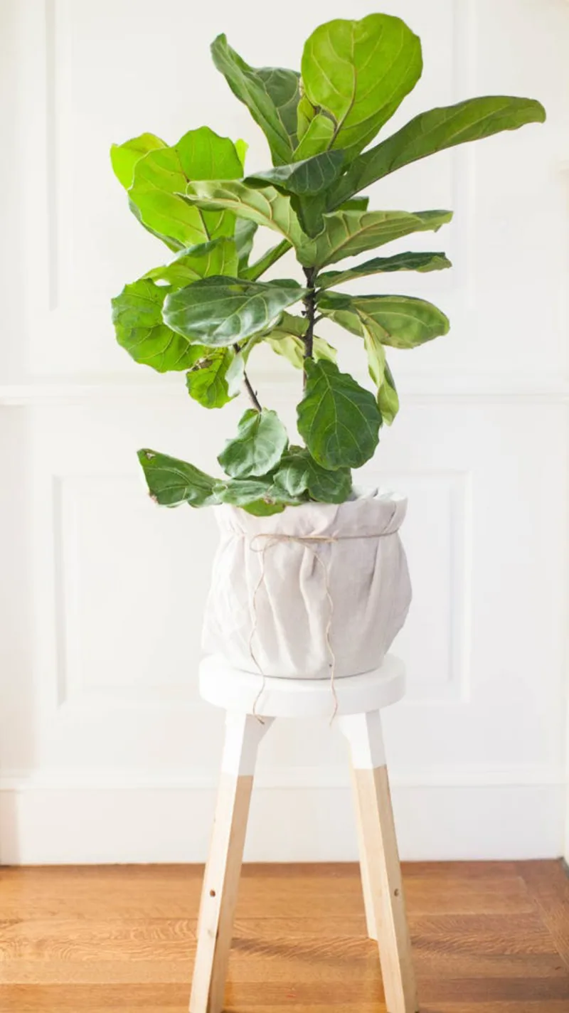 O contraste entre as cores nova e original não precisa ser grande. A madeira clara e o branco são uma boa combinação para ambientes inspirados no minimalismo. Foto: reprodução/SMP Living