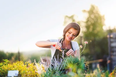 Foto: Bigstock