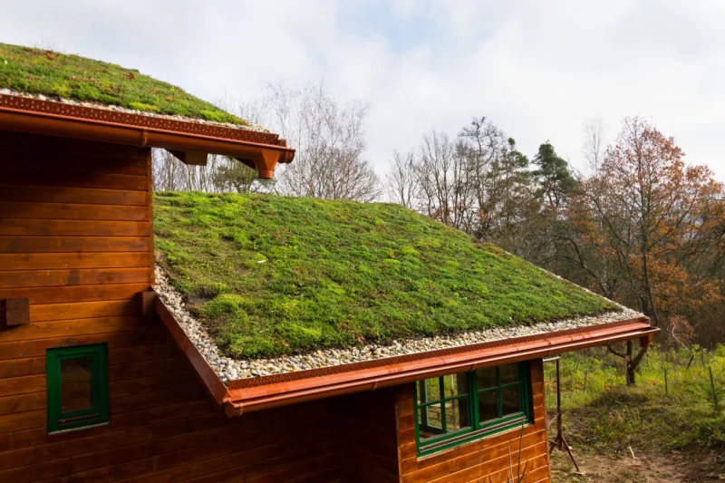 Telhados verdes otimizam a climatização natural da casa, diminuindo a necessidade de climatizadores. Foto: Bigstock