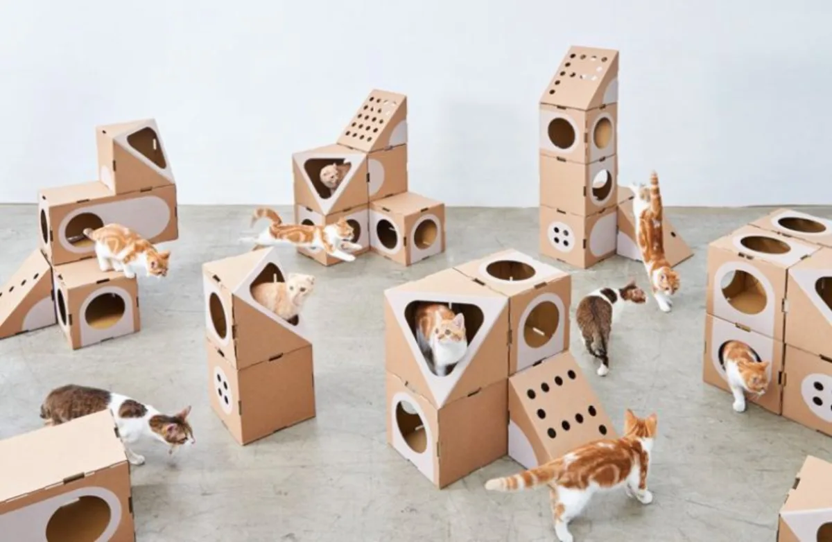 "A Cat Thing" é uma série de produtos especialmente pensados para felinos e seus donos. Foto: Reprodução/Designboom