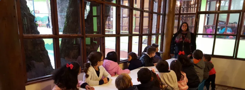 Foto: reprodução/Lar Infantil Sol Amigo