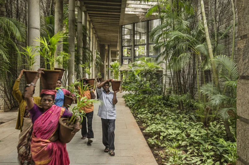 Indian Institute of Management, em Bangalore. Foto: courtesy of VSF